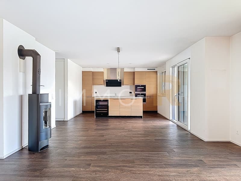 Spacious 4.5-room recent apartment with 27m2 balcony (1)