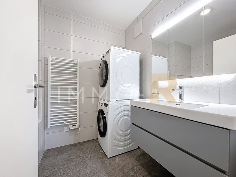 Spacious 4.5-room recent apartment with 27m2 balcony (6)