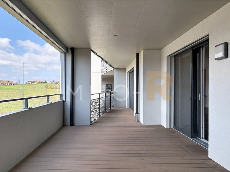Spacious 4.5-room recent apartment with 27m2 balcony (3)