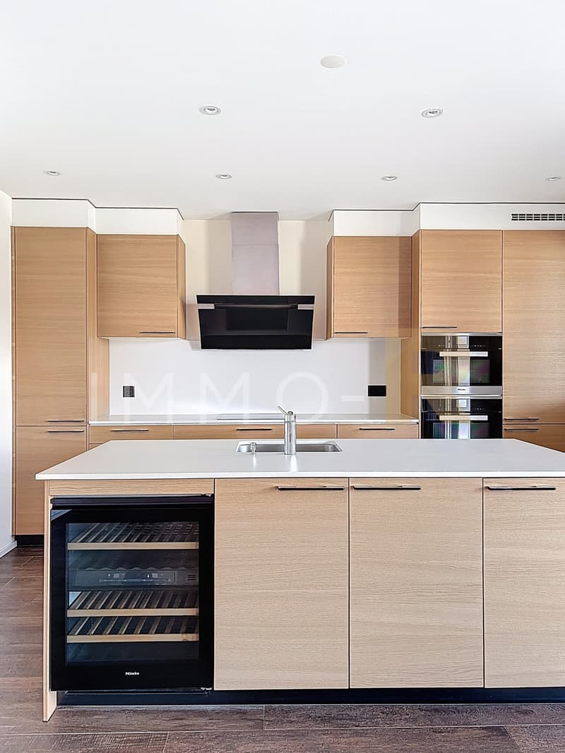 Spacious 4.5-room recent apartment with 27m2 balcony (2)