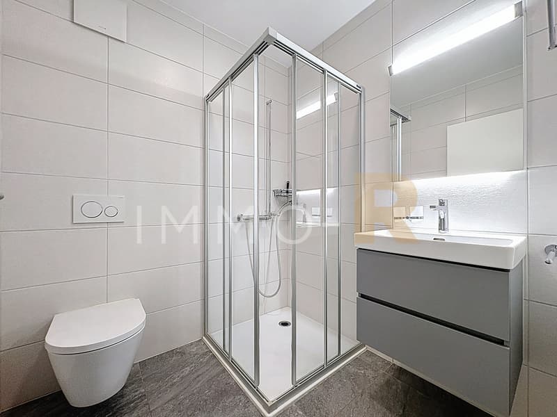 Spacious 4.5-room recent apartment with 27m2 balcony (5)