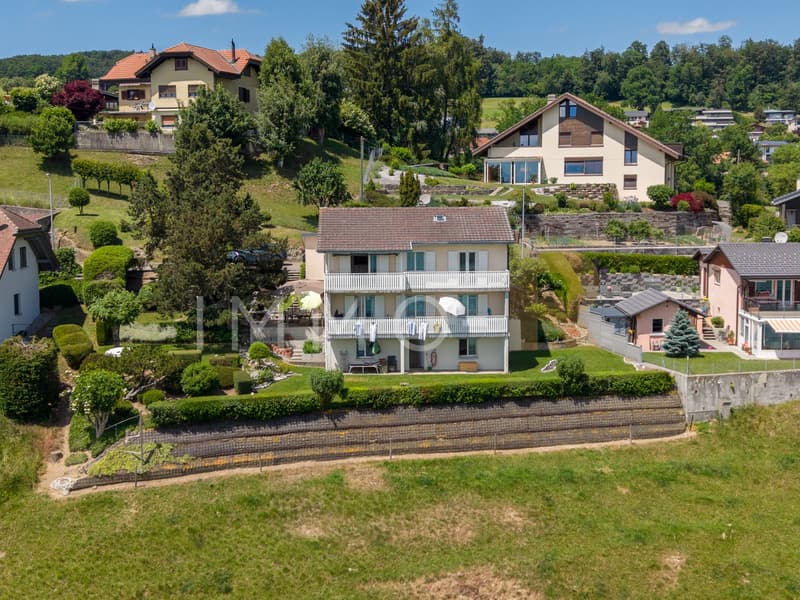 Exceptional view of the lake and the Moléson - 2 dwellings (2)