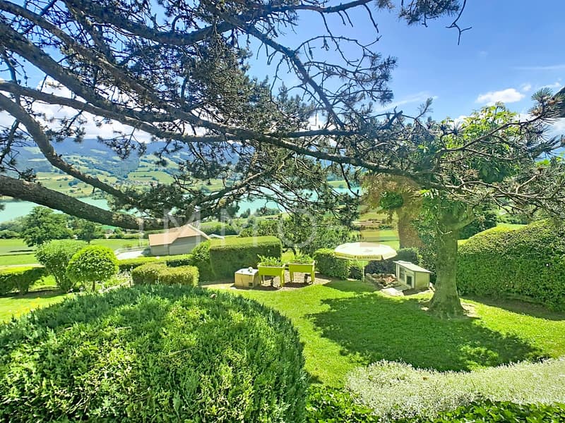 Exceptional view of the lake and the Moléson - 2 dwellings (8)