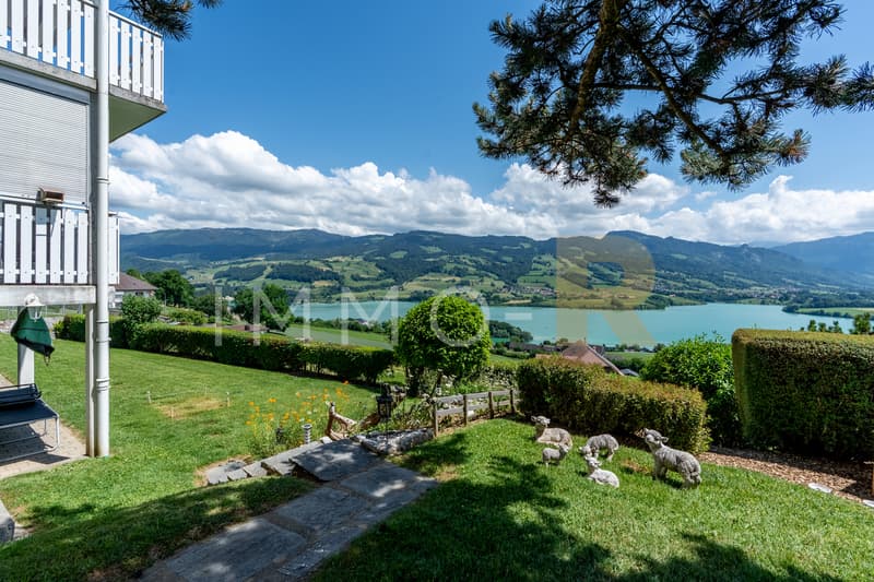 Exceptional view of the lake and the Moléson - 2 dwellings (3)