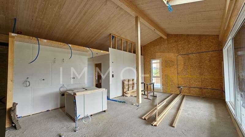 Neue Doppelvillen 5,5 Zimmer mit Garten (1)