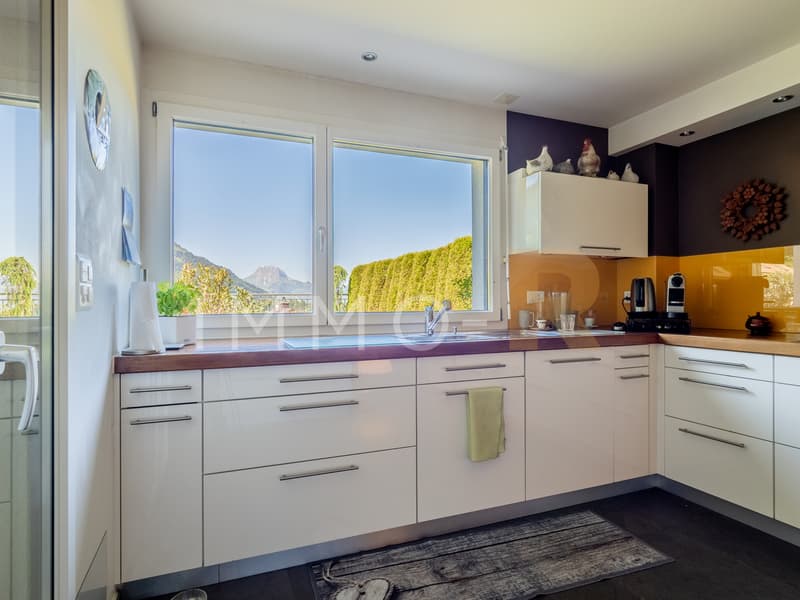 Spacieux appartement - terrasse, jardin vue dégagée sur le Moléson (1)