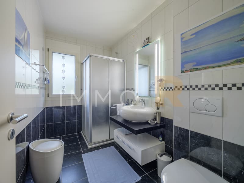 Spacieux appartement - terrasse, jardin vue dégagée sur le Moléson (4)