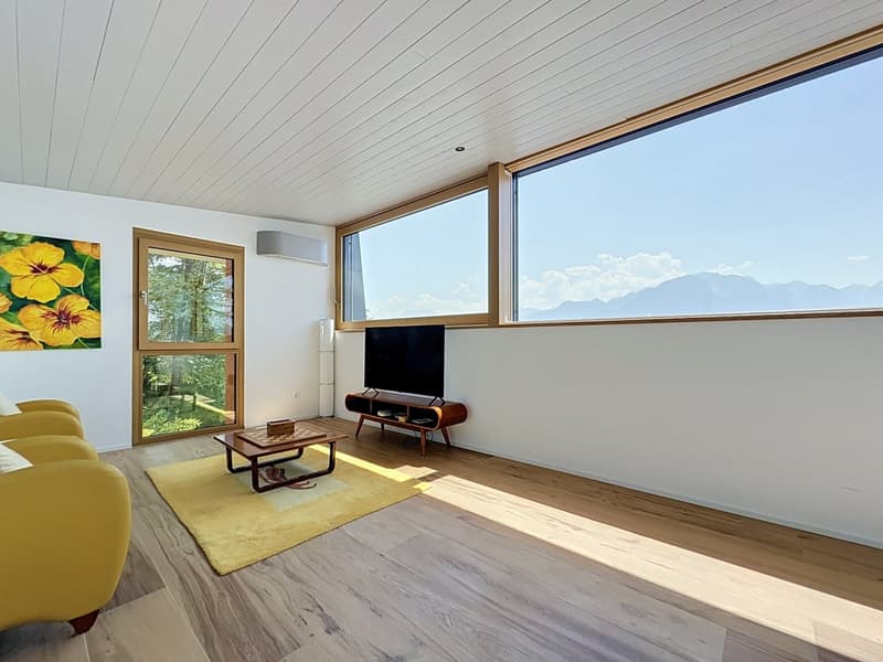 Sui pendii di Montreux Splendida villa con vista lago (10)