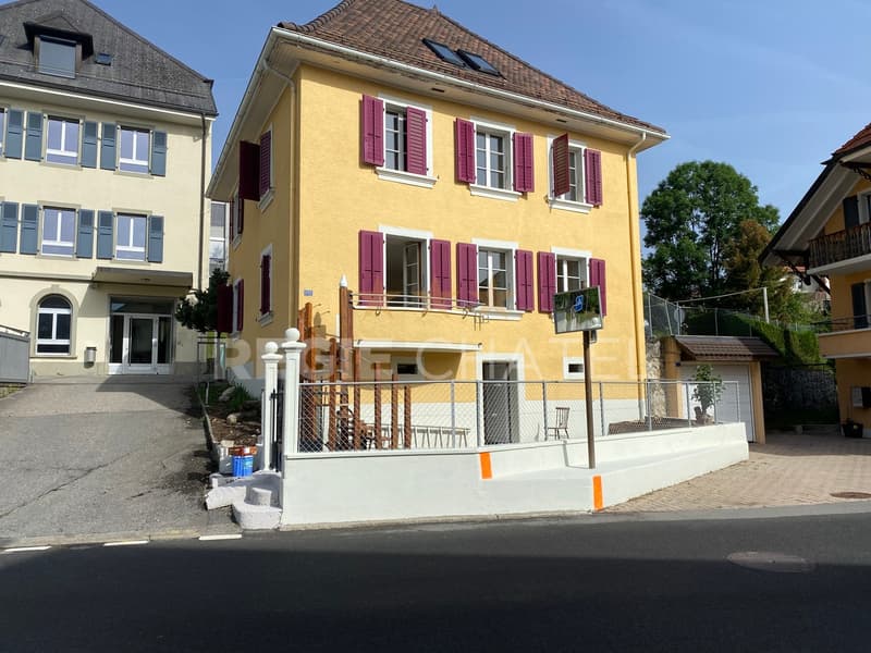 Charming individual house (2)
