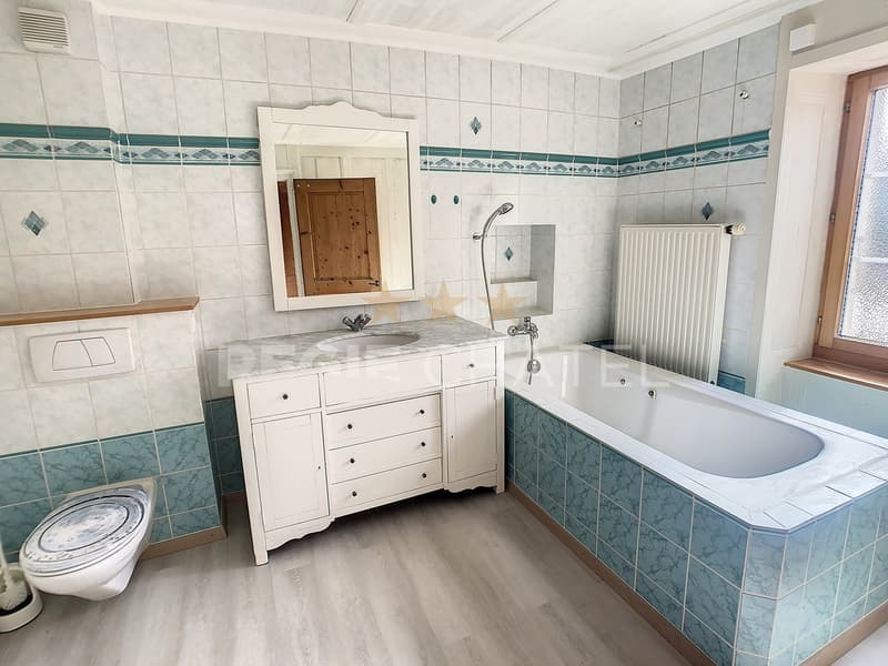 Charming individual house (9)