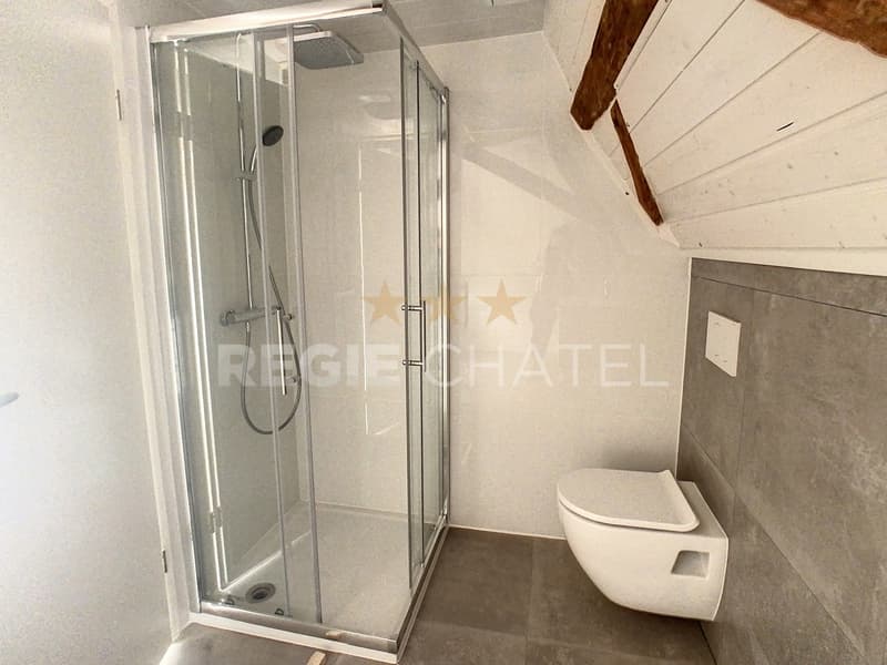Charming individual house (13)