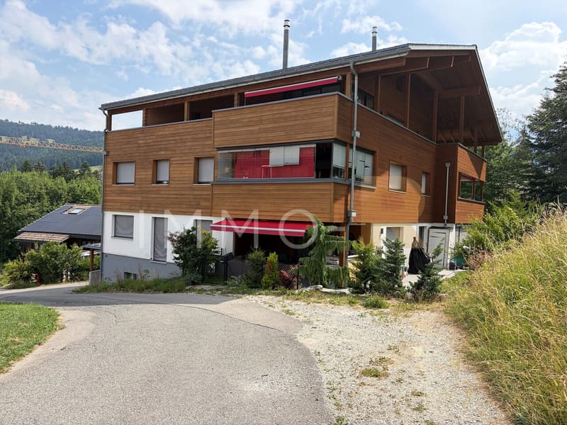 Magnificent 4.5-room attic apartment with mezzanine (1)