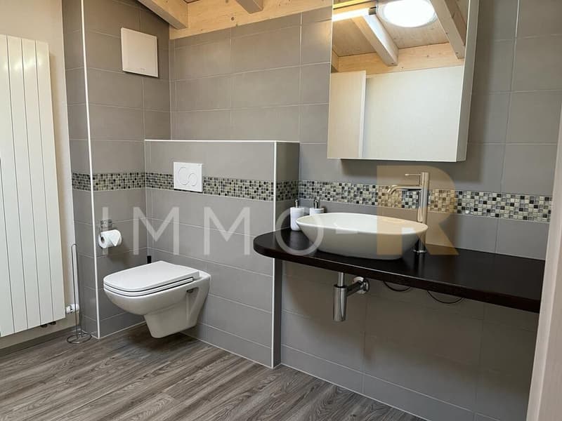 Magnificent 4.5-room attic apartment with mezzanine (7)