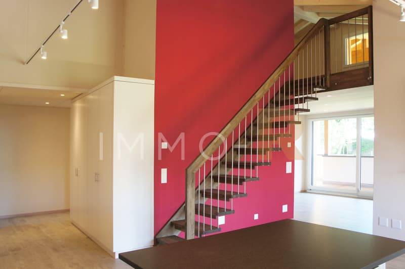 Magnificent 4.5-room attic apartment with mezzanine (4)