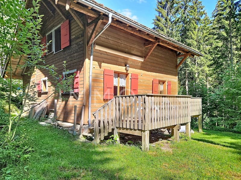 Chalet di svago (1)
