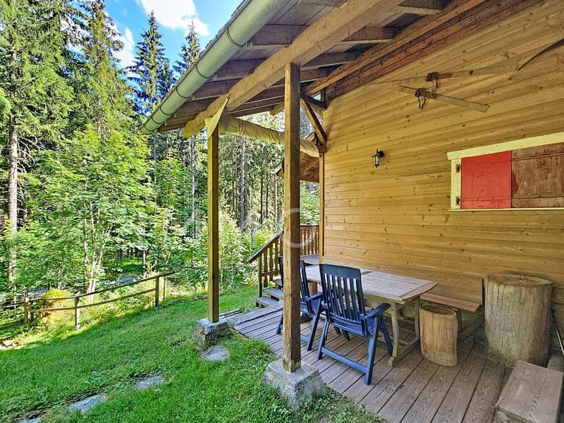 Chalet di svago (4)