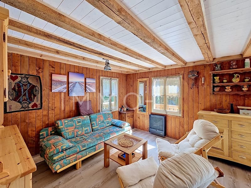 Chalet di svago (6)