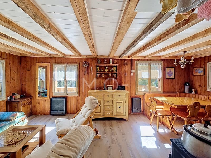 Chalet di svago (7)