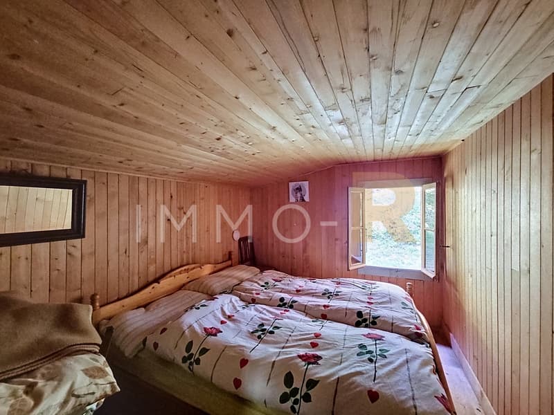 Chalet di svago (9)