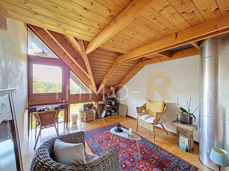 Spacious semi-detached house (13)