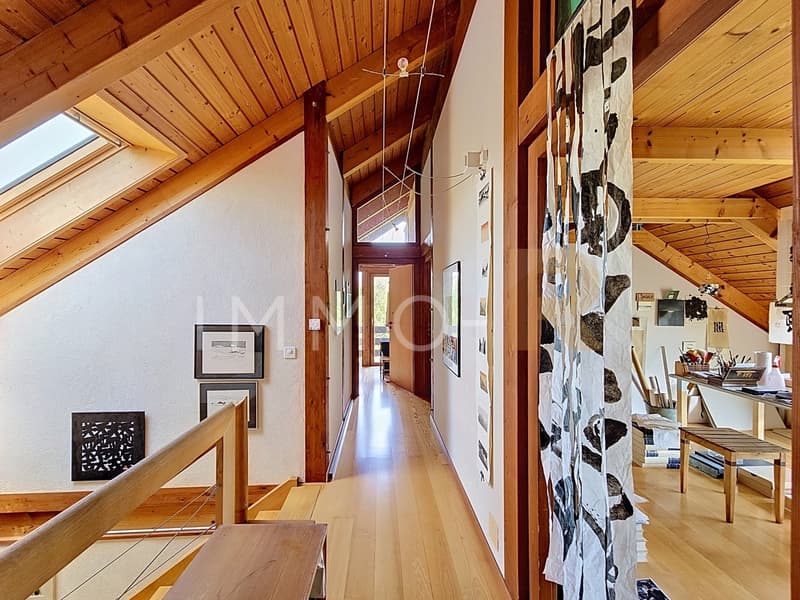 Spacious semi-detached house (12)