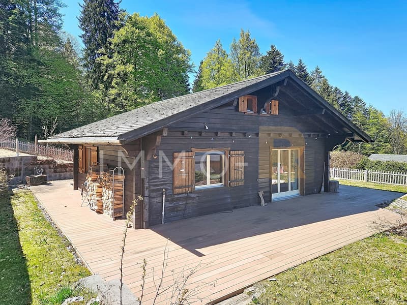 Chalet avec magnifique vue (2)
