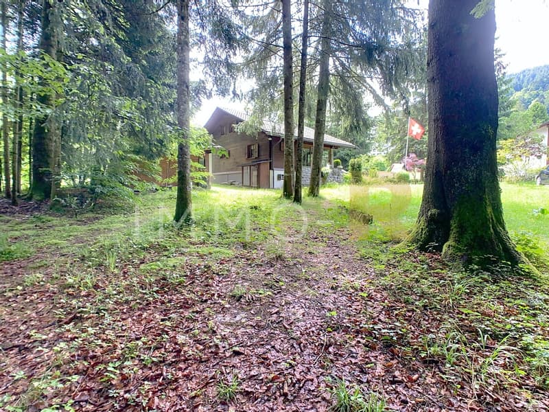 Joli chalet individuel dans un cadre idyllique (3)