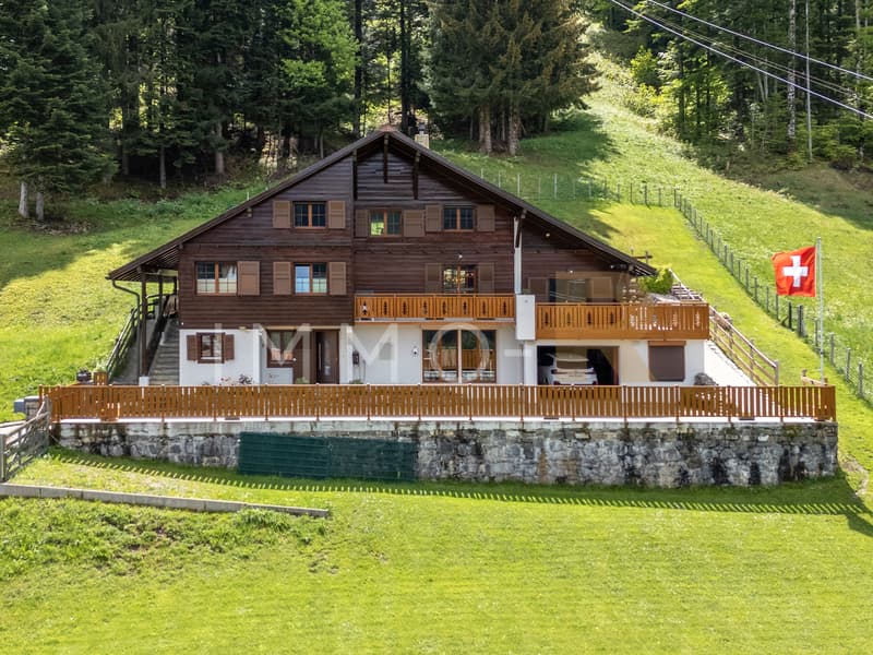 Chalet individuel avec terrain de 1018m2 et potentiel de création d'un appartement indépendant (1)