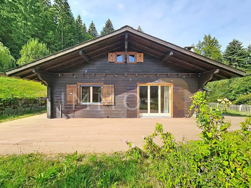 Chalet avec magnifique vue (1)
