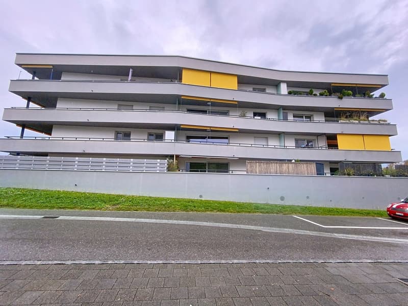 Magnifique 2.5 pièces avec terrasse de 50m2 (1)