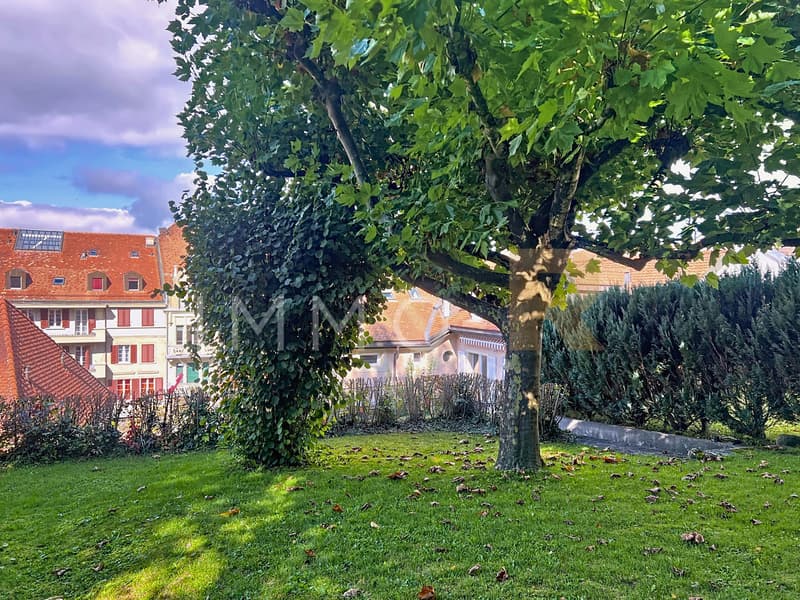 Opportunité unique au coeur de Romont lmmeuble mixte à vendre (12)