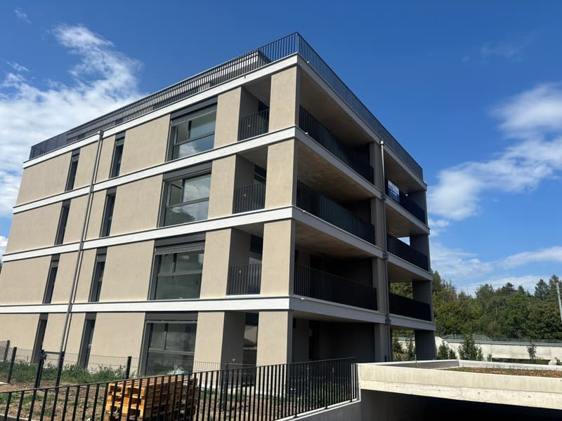 Magnifique appartement neuf de 4,5 pièces à La Tour-de-Trême (1)