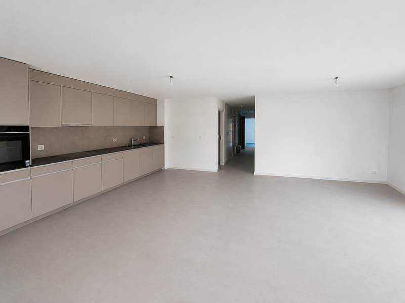 Magnifique appartement neuf de 4,5 pièces à La Tour-de-Trême (3)