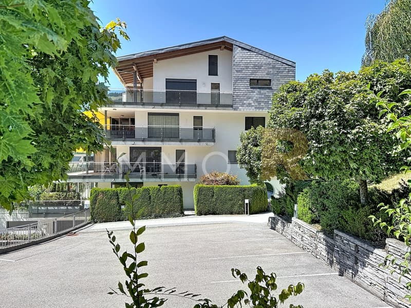 Spacieux appartement - terrasse, jardin vue dégagée sur le Moléson (1)