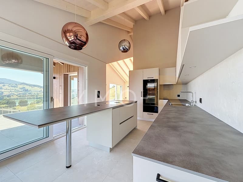 Appartement 4,5 de standing (1)