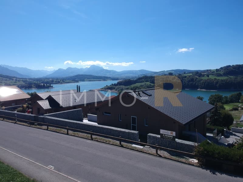 Appartement 4,5 de standing (10)