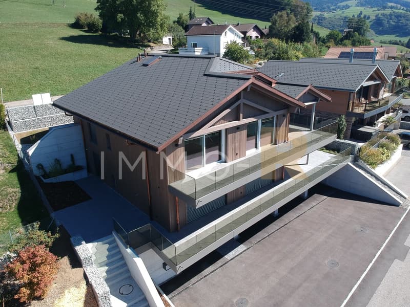 Appartement 4,5 de standing (9)