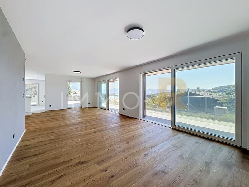 Appartement 3,5 de standing (2)