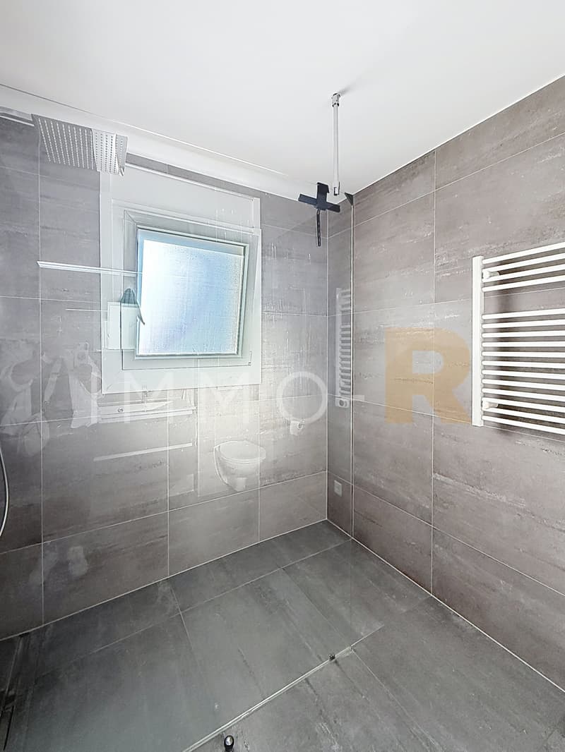 Bel appartement 4,5 pièces  entièrement rénové (7)