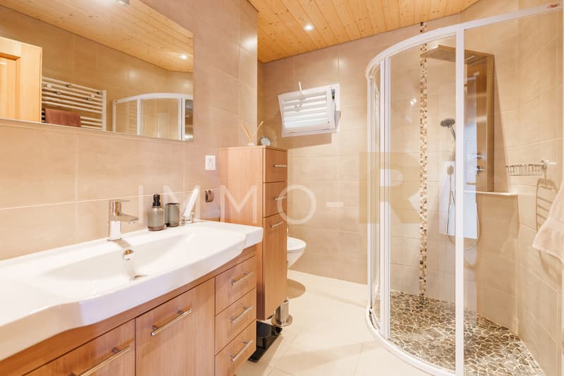 Grande maison 2 appartements avec grand potentiel de transformation (9)