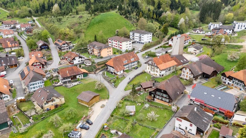 Aerial view of a village with several houses, some with brown roofs, some with white roofs, surrounded by green grass and trees, with a road in the middle.