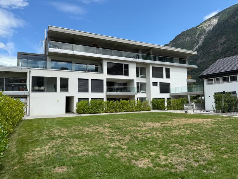 Schönes neues 4.5-Zimmer-Apartment mit großer Terrasse (12)