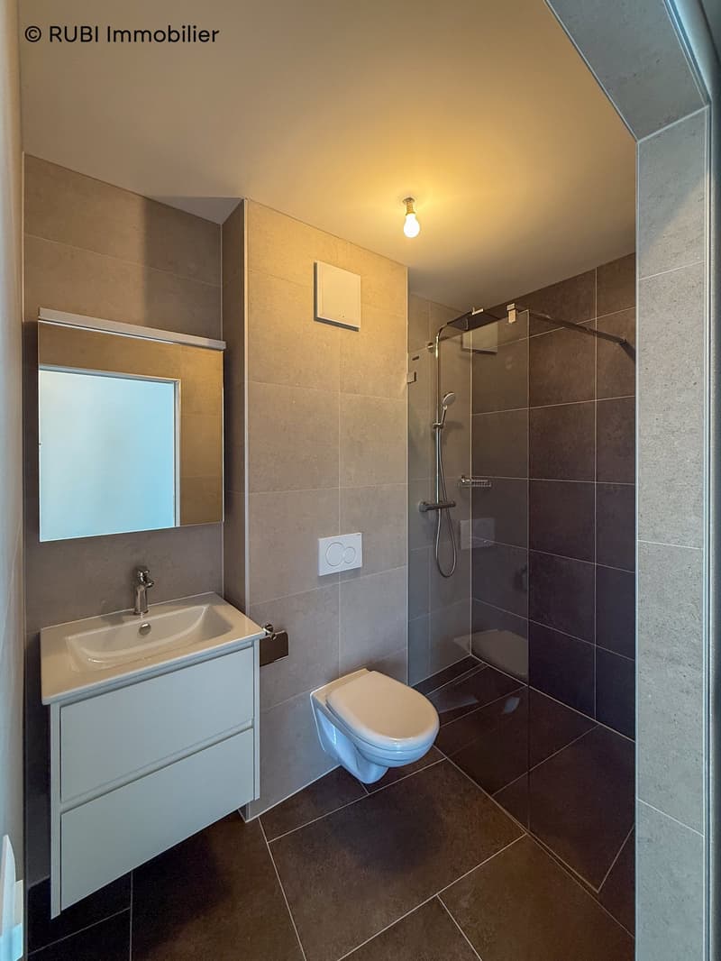 Schönes neues 4.5-Zimmer-Apartment mit großer Terrasse (9)