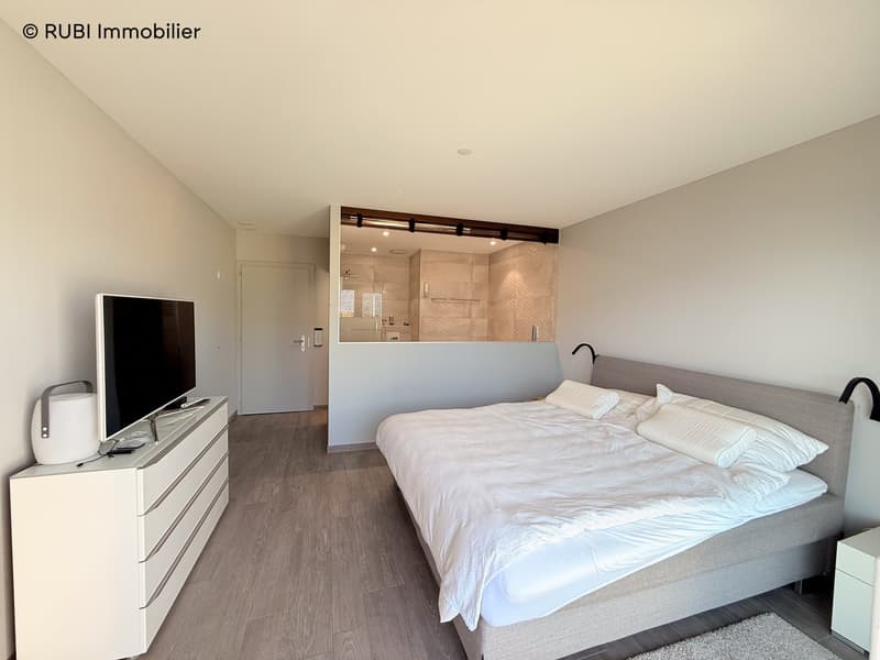 Splendid apartment with panoramic views of the mountains and the valley (9)