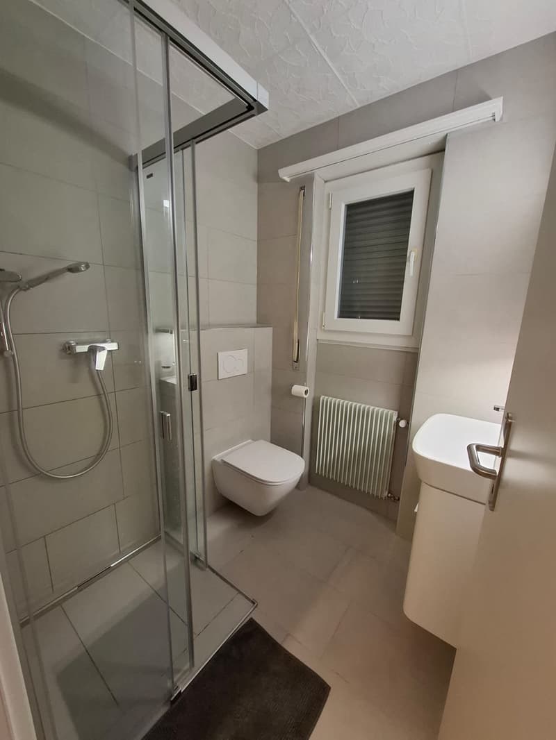 Studio komplett renoviert im Stadtzentrum (8)