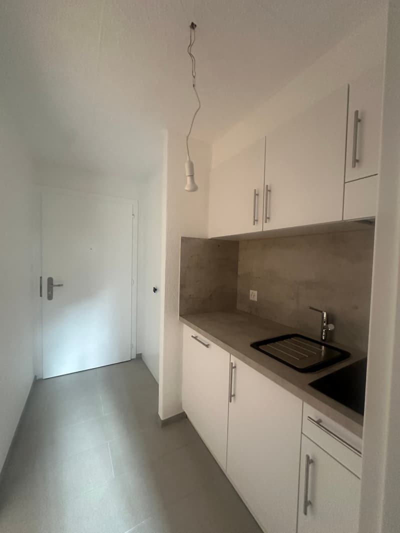 Studio komplett renoviert im Stadtzentrum (4)