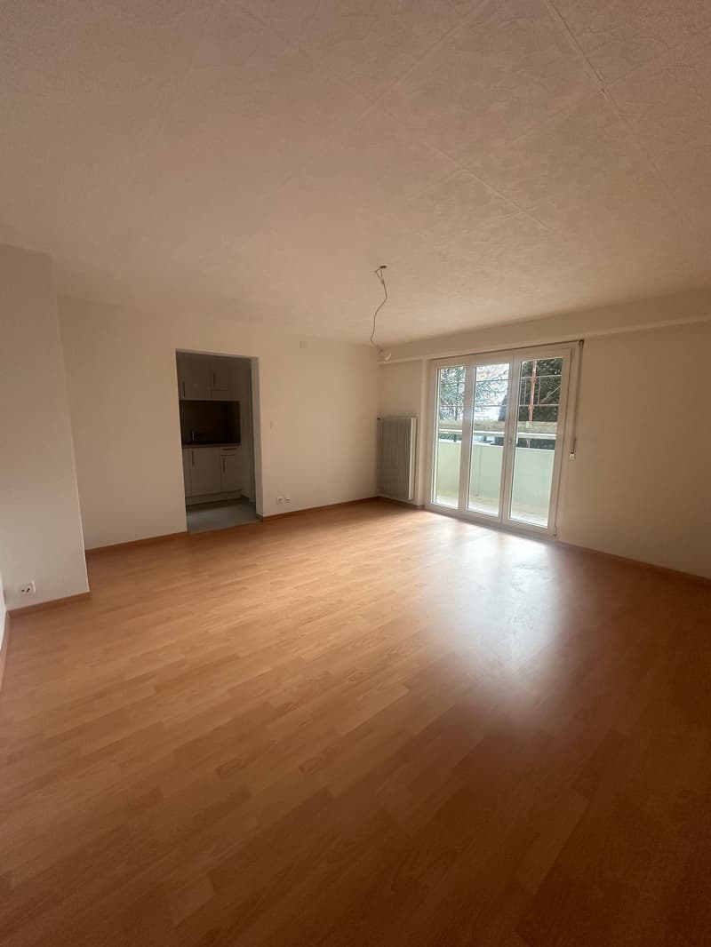 Studio komplett renoviert im Stadtzentrum (1)
