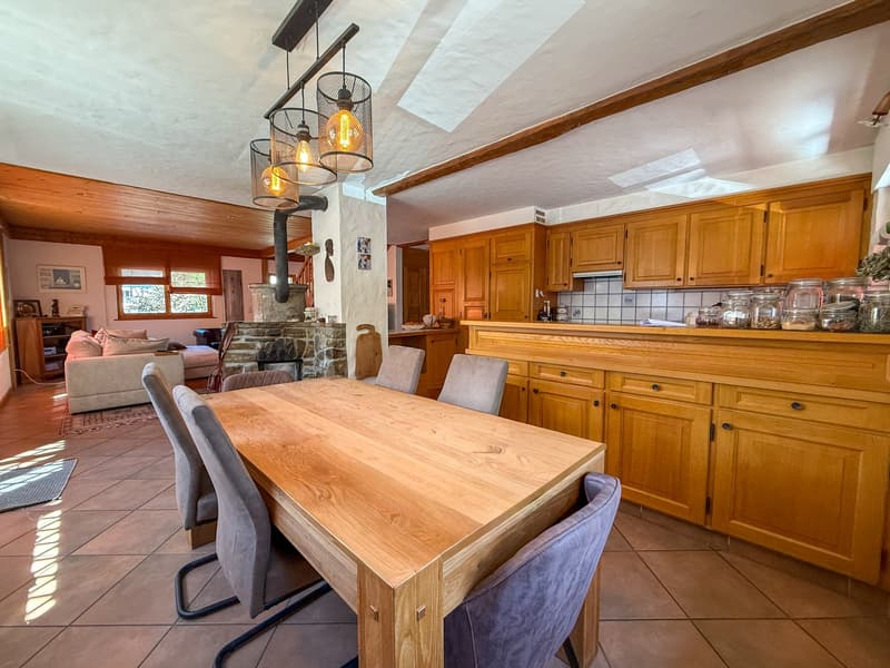 Grande villa familiale avec splendide terrasse et grand jardin (13)