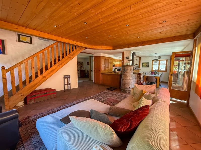 Grande villa familiale avec splendide terrasse et grand jardin (10)