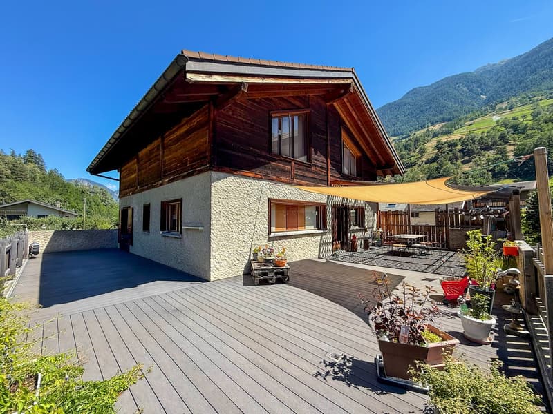 Grande villa familiale avec splendide terrasse et grand jardin (1)